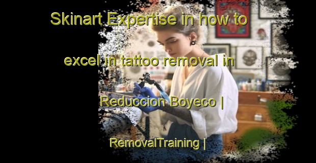 Skinart Expertise in how to excel in tattoo removal in Reduccion Boyeco | RemovalTraining | RemovalClasses | SkinartTraining-Chile